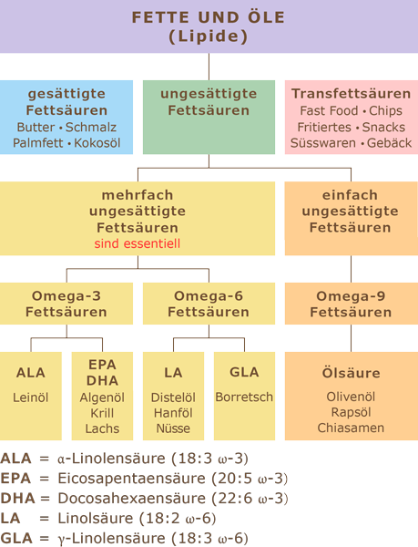 Fette und Öle Fette und Öle