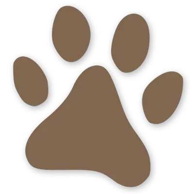 Hundepfote bei Barf Fertigmenü Rind (H) für Hunde
