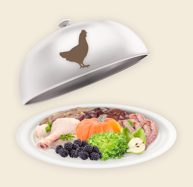 Teller und Haube mit Hunde Fertigmenü Huhn (H) Preis Hunde Fertigmenü Huhn (H)