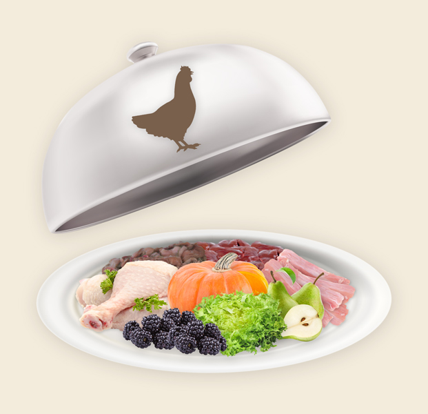 Teller und Haube mit Hunde Fertigmenü Huhn (K) Preis Hunde Fertigmenü Huhn (K)