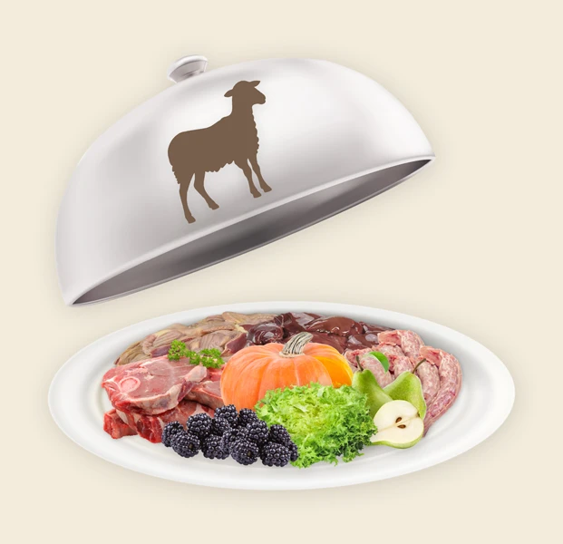 Teller und Haube mit Barf Fertigmenü Lamm (H) für Hunde