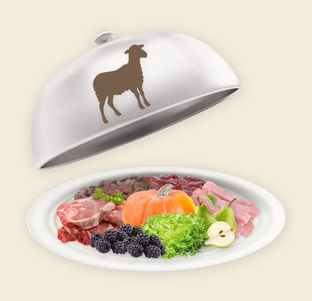 Teller und Haube mit Hunde Fertigmenü Lamm (K) für Hunde