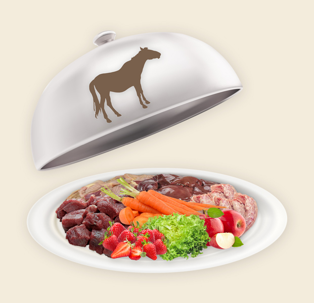 Teller und Haube mit Hunde Fertigmenü Pferd (H) Preis Hunde Fertigmenü Pferd (H)