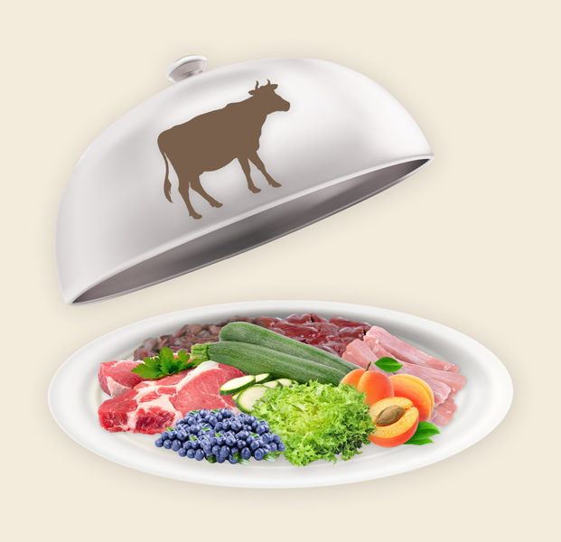 Teller und Haube mit Hunde Fertigmenü Rind (K) Preis Hunde Fertigmenü Rind (K)