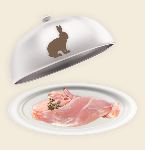 Teller mit tierischen Zutaten
