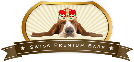 Hund mit Krone
