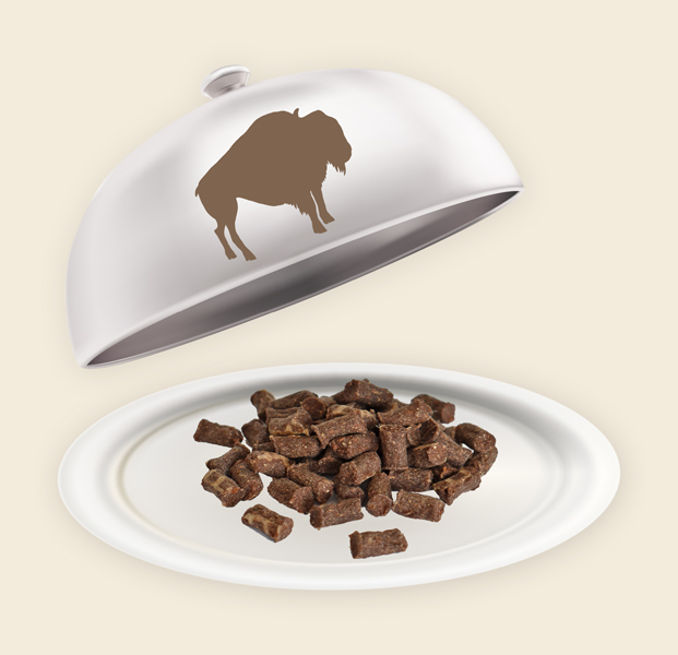 Teller und Haube mit Büffel Minis Büffel Minis