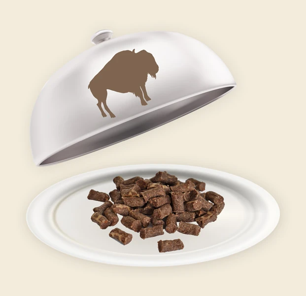 Teller und Haube mit Büffel Minis Büffel Minis