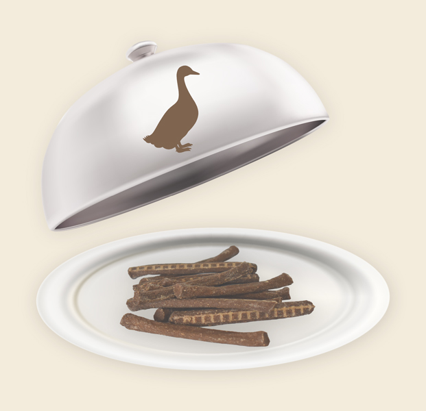 Teller und Haube mit Enten Sticks Enten Sticks
