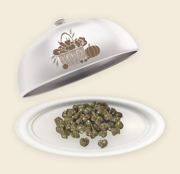Teller und Haube mit Gemüse Minis Gemüse Minis