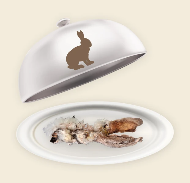 Teller und Haube mit Kaninchen Ohren mit Fell Kaninchen Ohren mit Fell