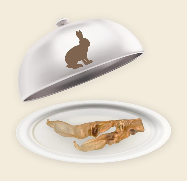 Teller und Haube mit Kaninchen Ohren ohne Fell Kaninchen Ohren ohne Fell