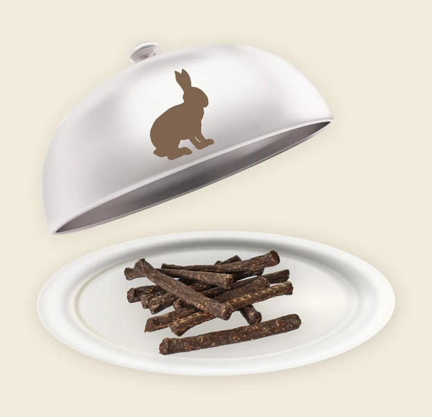Teller und Haube mit Kaninchen Sticks Kaninchen Sticks