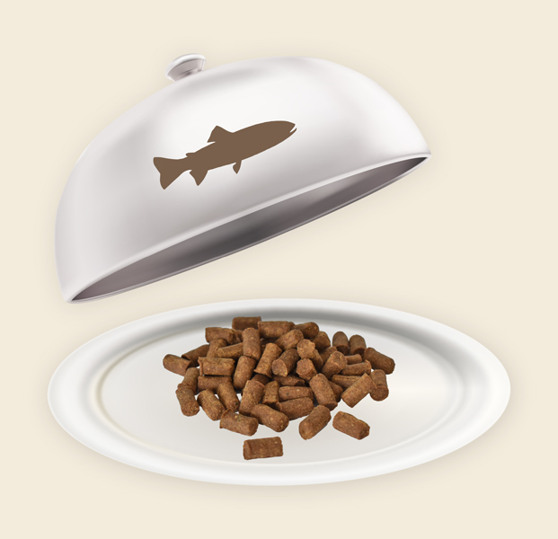 Teller und Haube mit Lachs Minis Lahcs Minis