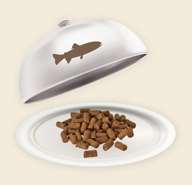 Teller und Haube mit Lachs Minis Lahcs Minis