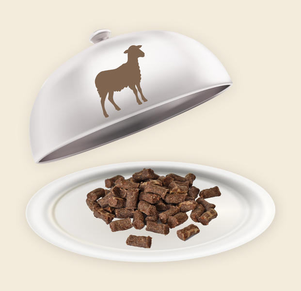Teller und Haube mit Lamm Minis Lamm Minis
