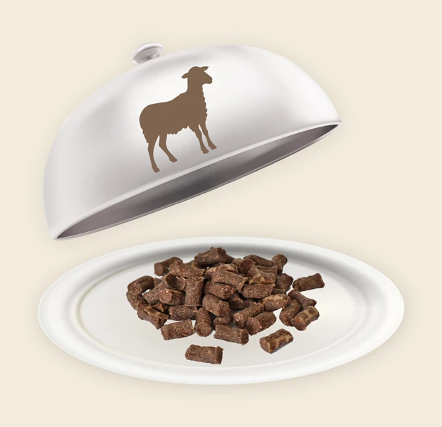 Teller und Haube mit Lamm Minis Lamm Minis