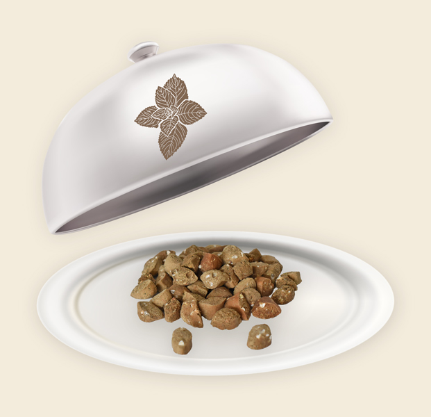 Teller und Haube mit Pfefferminz Minis Pfefferminz Minis