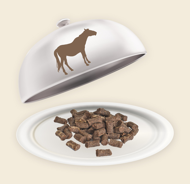Teller und Haube mit Pferde Minis Pferde Minis