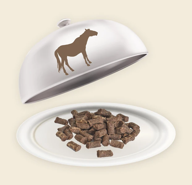Teller und Haube mit Pferde Minis Pferde Minis