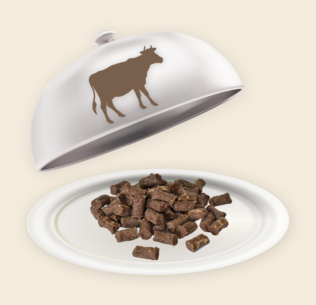Teller und Haube mit Rinder Minis Rinder Minis