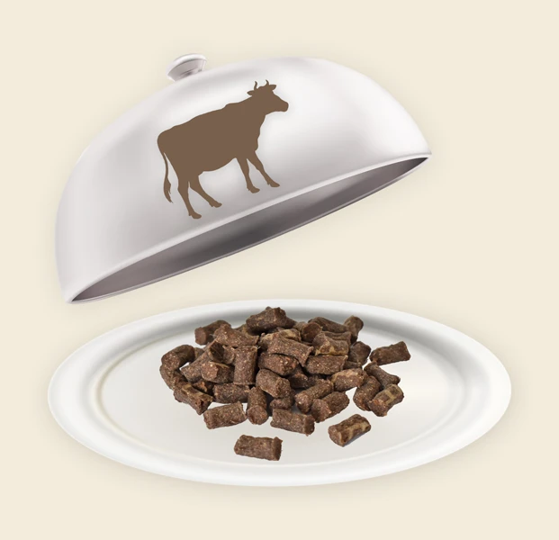 Teller und Haube mit Rinder Minis Rinder Minis