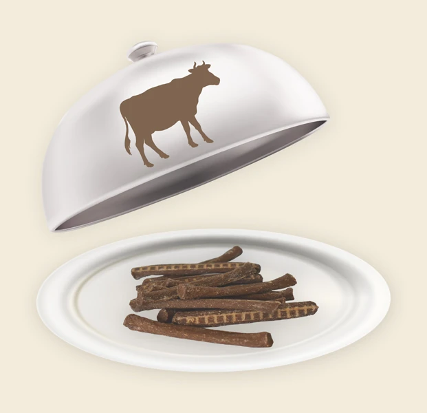 Teller und Haube mit Rinder Sticks Rinder Sticks