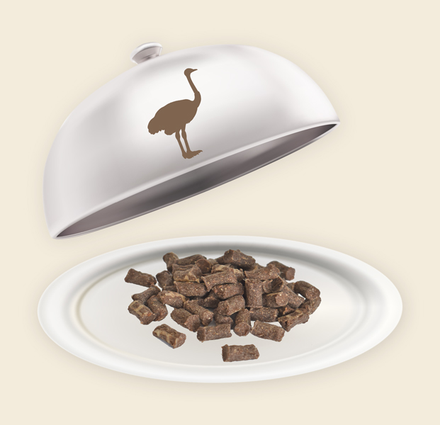 Teller und Haube mit Straussen Minis Straussen Minis