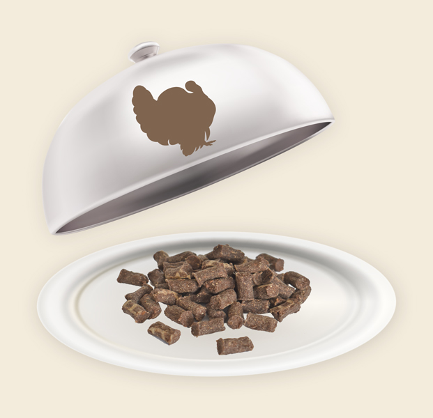 Teller und Haube mit Truthahn Minis Truthahn Minis