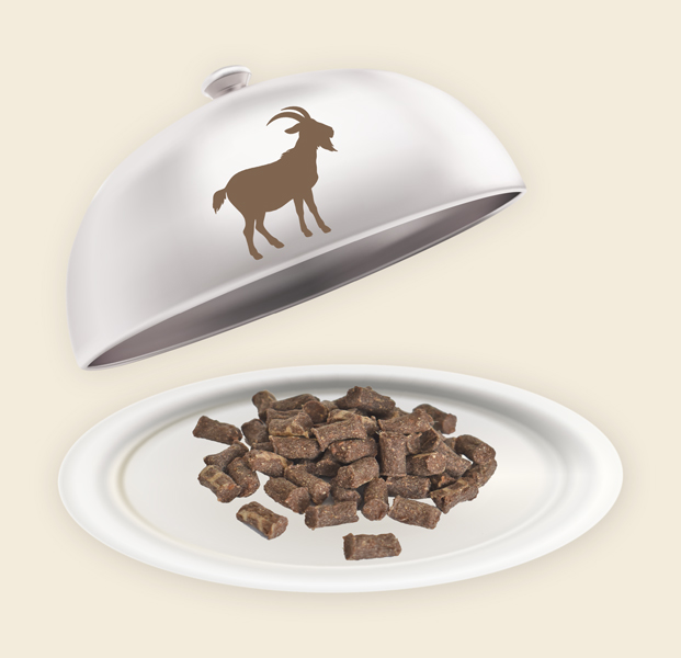 Teller und Haube mit Ziegen Minis Ziegen Minis