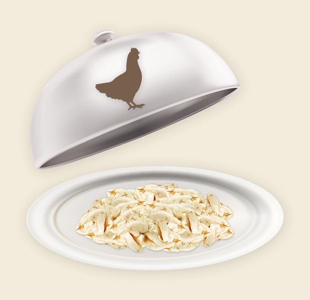 Hühner fFtt Multipack