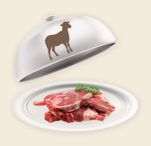 Die Preise von Barf Lammfleisch Multipack Die Preise von Barf Lammfleisch Multipack