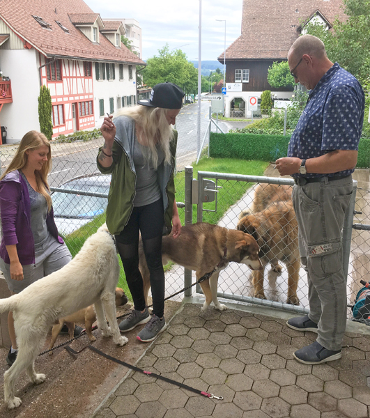 Hundetreffen bei Ashuna's