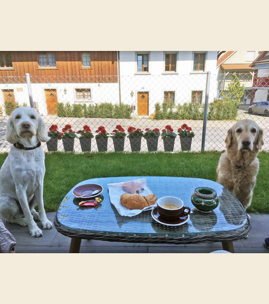 Filou und Ashuna beim Zmörgele